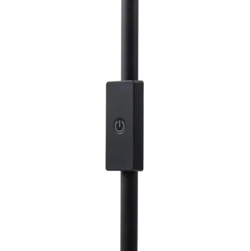 Lindby LED vloerlamp Maori, 140 cm, zwart, CCT, dimbaar