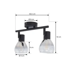 Lindby Pendura plafondlamp, 2-lamps, zwart, glas