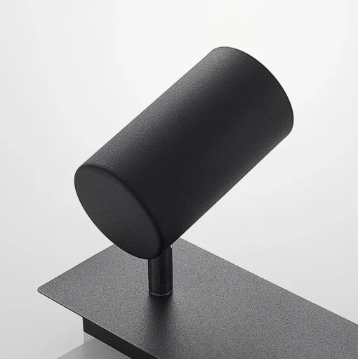 Lindby plafondspot Joffrey, 31 cm, 2-lamps, zwart, GU10