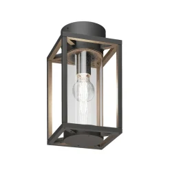 Lucande buiten plafondlamp Ferda, 29 cm, antraciet, IP44
