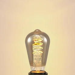 Lucande E27-lamp ST64 4W 918 dimbaar titaan per 2