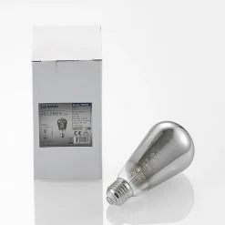 Lucande E27-lamp ST64 4W 918 dimbaar titaan per 2
