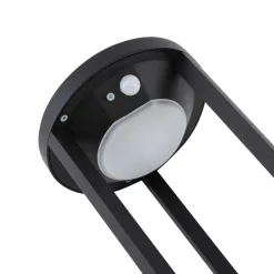 Lucande Evelis LED tuinpadverlichting, zwart, aluminium, sensor