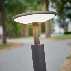 Lucande LED tuinpadverlichting Fenia, 60 cm, antraciet, IP65