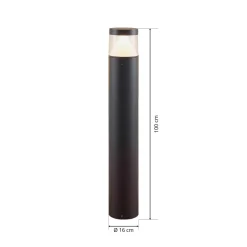 Lucande LED tuinpadverlichting Darja, antraciet, metaal, 100cm, IP54