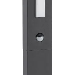 Lucande Virgalia LED tuinpadverlichting, bewegingsmelder, 65 cm, IP54