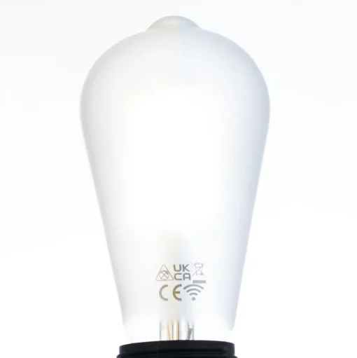 LUUMR Slimme LED lamp mat E27 ST64 7W Tuya WLAN CCT