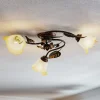 Miranda plafondlamp 3-lamps, brons