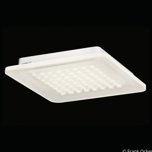 Nimbus Modul Q 64 LED opbouwlamp 940