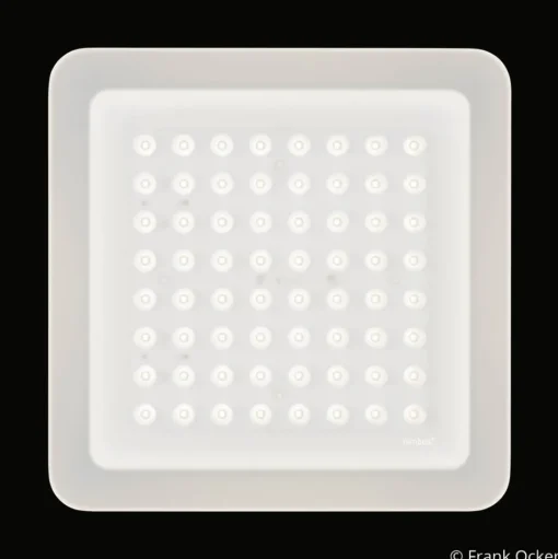 Nimbus Modul Q 64 LED opbouwlamp 940