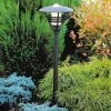 Padlamp Gemini 502-750, zwart