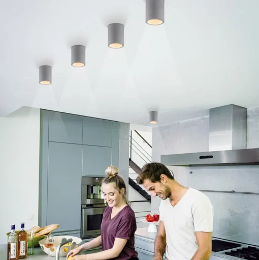 Paul Neuhaus Eton plafondlamp, grijs, beton, Ø 11 cm, GU10