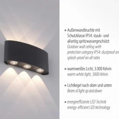 Paul Neuhaus LED buiten wandlamp Carlo, 17 cm, 6-lamps, IP54