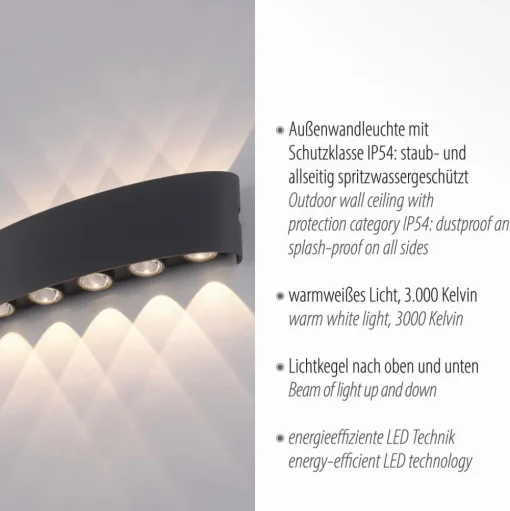 Paul Neuhaus LED buiten wandlamp Carlo, 27cm, 10-lamps, IP54
