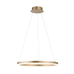 Paul Neuhaus LED hanglamp Titus, Ø 60 cm, messing, dimbaar