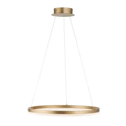 Paul Neuhaus LED hanglamp Titus, Ø 60 cm, messing, dimbaar