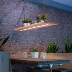 Paul Neuhaus LED hanglamp Palma, hout, CCT, dimbaar, 120cm