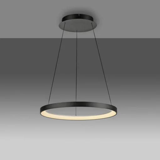 Paul Neuhaus LED hanglamp Hoop, zwart, Ø 57 cm, dimbaar