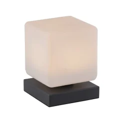 Paul Neuhaus LED tafellamp Dadoa, antraciet, glas, dimbaar