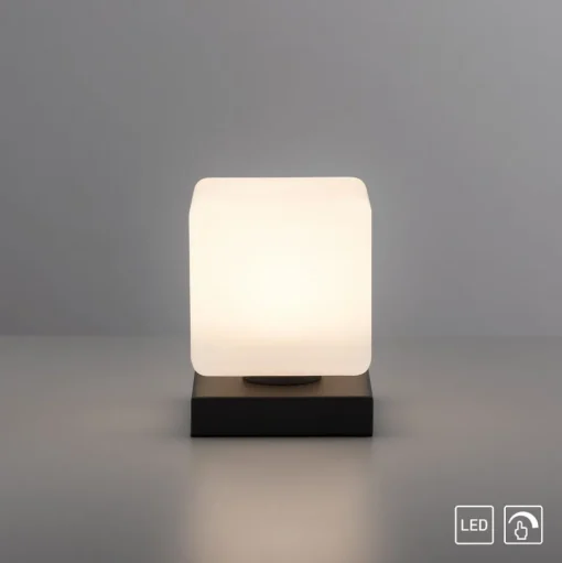 Paul Neuhaus LED tafellamp Dadoa, antraciet, glas, dimbaar