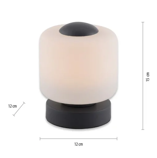Paul Neuhaus LED tafellamp Bota, antraciet, glas, dimbaar