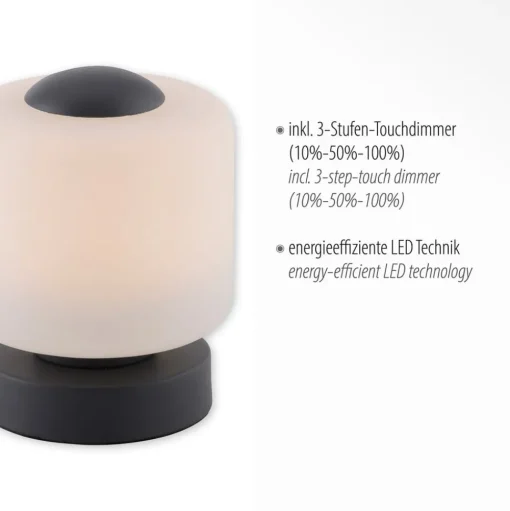 Paul Neuhaus LED tafellamp Bota, antraciet, glas, dimbaar