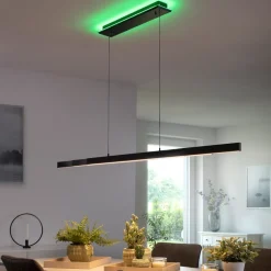 Paul Neuhaus Q-ARIAN LED hanglamp, antraciet