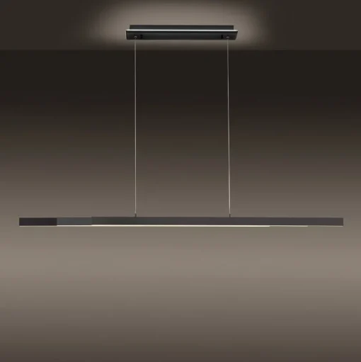 Paul Neuhaus Q-ARIAN LED hanglamp, antraciet