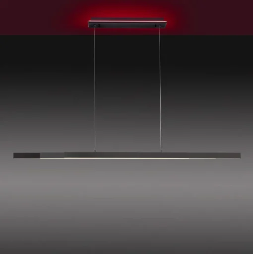 Paul Neuhaus Q-ARIAN LED hanglamp, antraciet