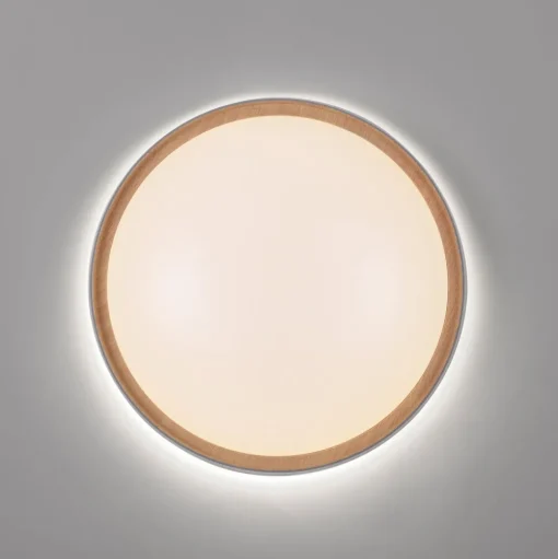 Paul Neuhaus Q-EMILIA LED plafondlamp, grijs/hout