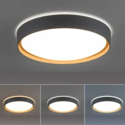 Paul Neuhaus Q-EMILIA LED plafondlamp, grijs/hout