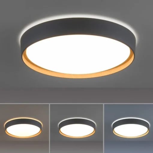 Paul Neuhaus Q-EMILIA LED plafondlamp, grijs/hout
