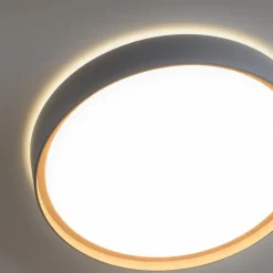 Paul Neuhaus Q-EMILIA LED plafondlamp, grijs/hout