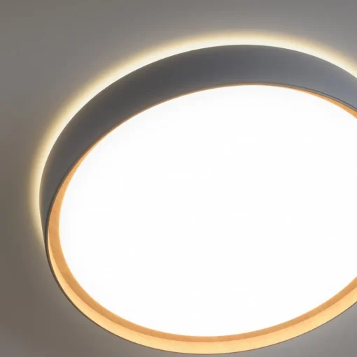 Paul Neuhaus Q-EMILIA LED plafondlamp, grijs/hout
