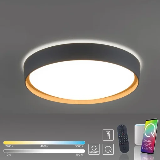 Paul Neuhaus Q-EMILIA LED plafondlamp, grijs/hout