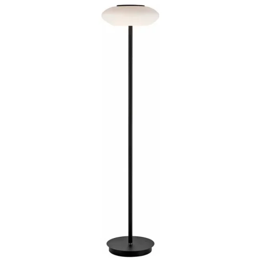 Paul Neuhaus Q-ETIENNE LED vloerlamp, zwart