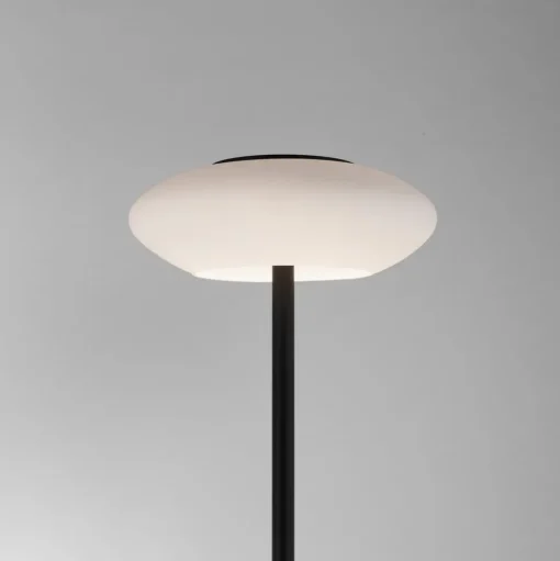 Paul Neuhaus Q-ETIENNE LED vloerlamp, zwart