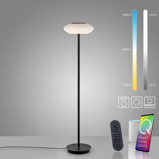 Paul Neuhaus Q-ETIENNE LED vloerlamp, zwart