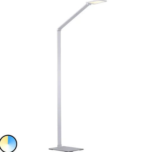Paul Neuhaus Q-HANNES LED vloerlamp