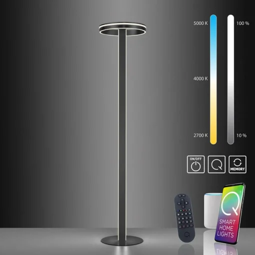 Paul Neuhaus Q-VITO LED vloerlamp, antraciet
