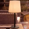 Paul Neuhaus tafellamp Falter, IP65, hoogte 60 cm