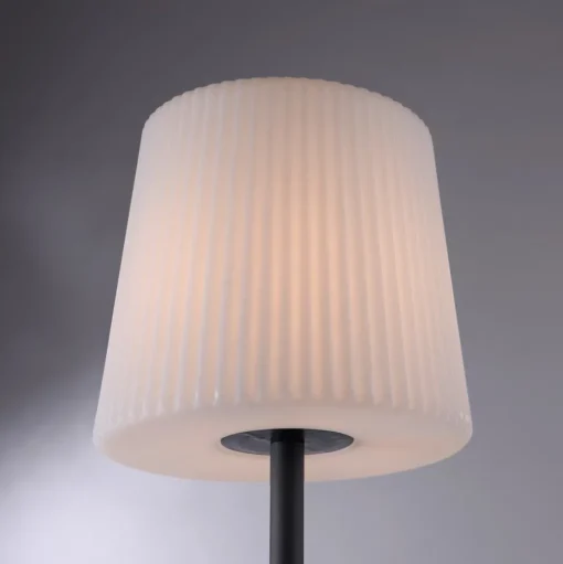 Paul Neuhaus tafellamp Falter, IP65, hoogte 60 cm