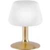 Paul Neuhaus Till tafellamp, messingkleurig, glas, dimbaar