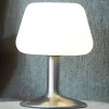 Paul Neuhaus Till tafellamp, staalkleurig, glas, dimbaar
