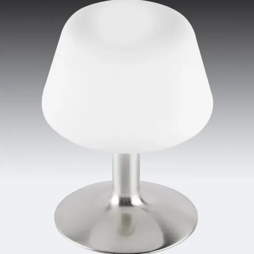 Paul Neuhaus Till tafellamp, staalkleurig, glas, dimbaar