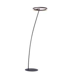 Paul Neuhaus Titus LED vloerlamp antraciet dimmer