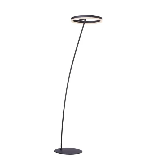 Paul Neuhaus Titus LED vloerlamp antraciet dimmer