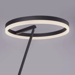 Paul Neuhaus Titus LED vloerlamp antraciet dimmer