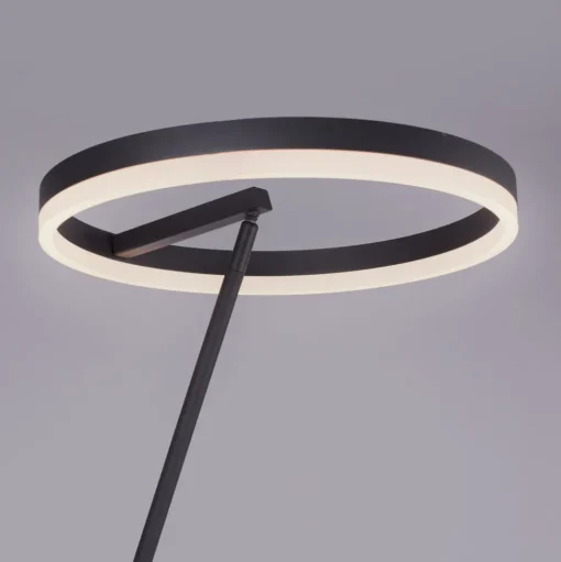 Paul Neuhaus Titus LED vloerlamp antraciet dimmer