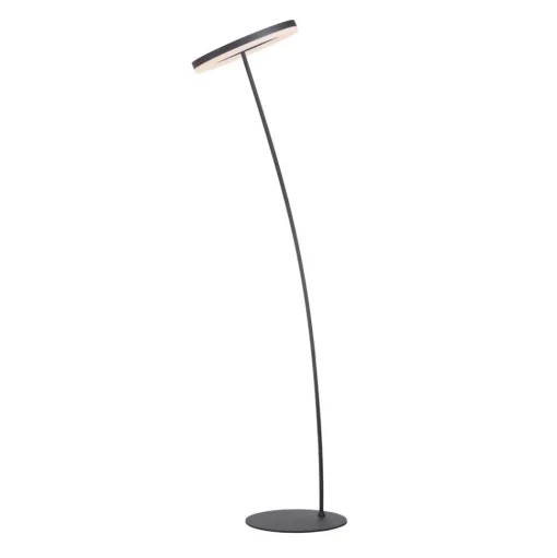Paul Neuhaus Titus LED vloerlamp antraciet dimmer